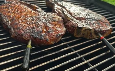 BBQ Thermometer Buyer Guide for Accurate Results in Australia 