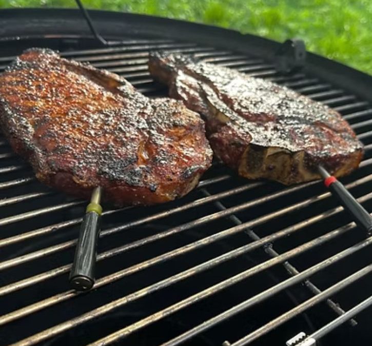 BBQ Thermometer Buyer Guide for Accurate Results in Australia 